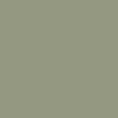 c540-pebble-green.jpg